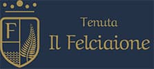 Logo Tenuta Il Felciaione